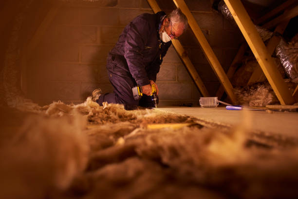 Best Commercial Insulation Services  in Big Lake, MN